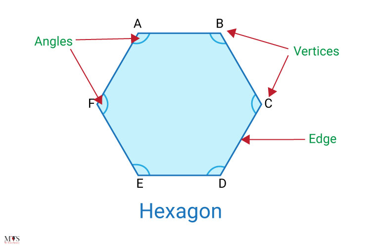 Hexagon – How many sides does a Hexagon have?