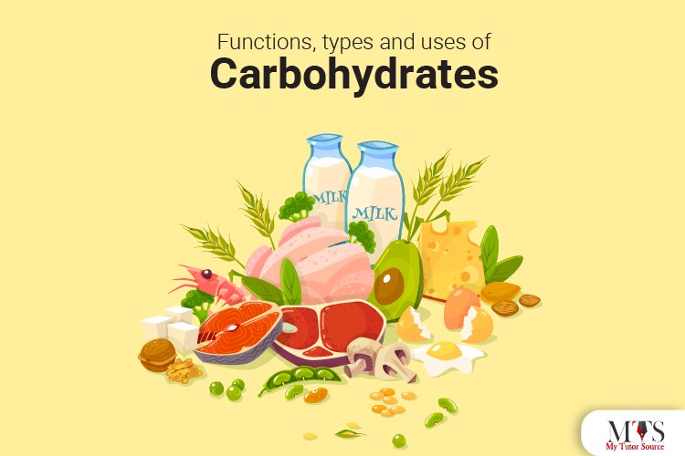 Functions, types and uses of carbohydrates