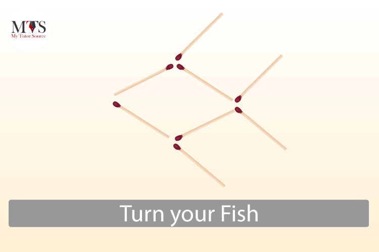 Turn-your-Fish