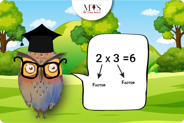 What Are Factors Of 24 And How To Find Them MTS Blog
