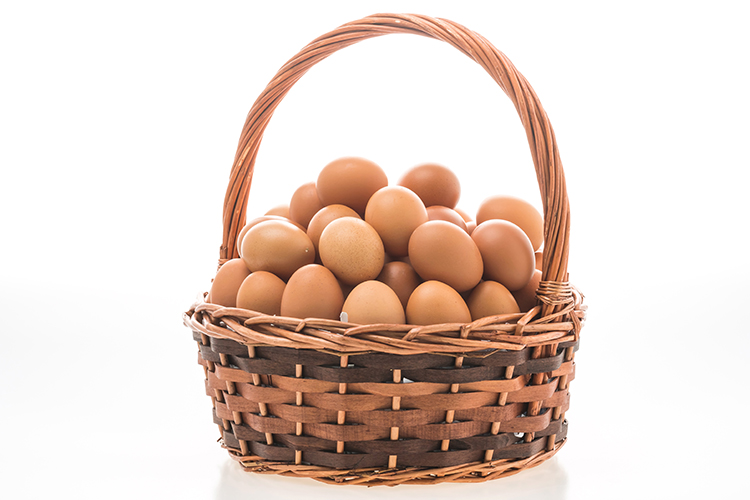 Don't put all your eggs in one basket.