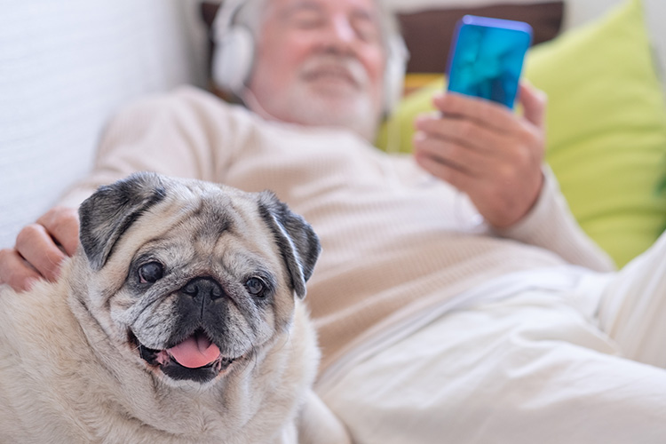 Lie down with dogs, get up with fleas.