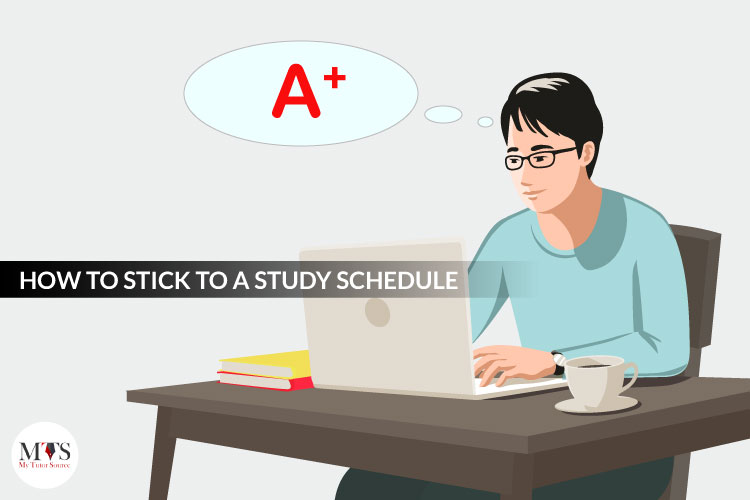 how to stick to a study schedule