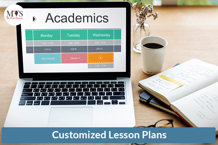 Customized Lesson Plans
