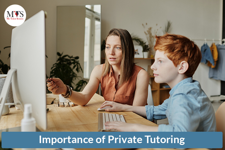 Importance of Private Tutoring