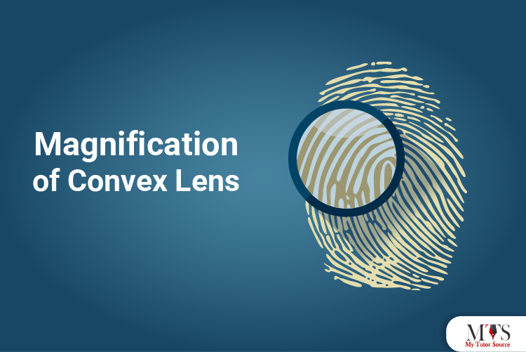 Magnification of convex lens