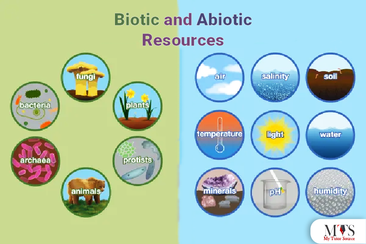 biotic and abiotic resources